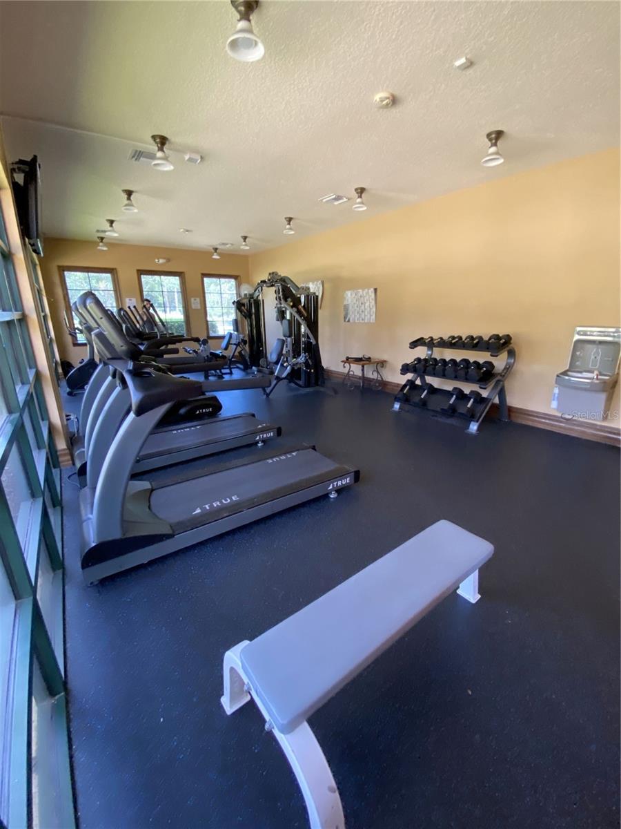 Image 39 of 41 For 33614 Campeon Court