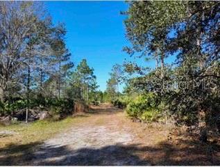 Listing Details for 1448 Blease Avenue, ORLANDO, FL 32833