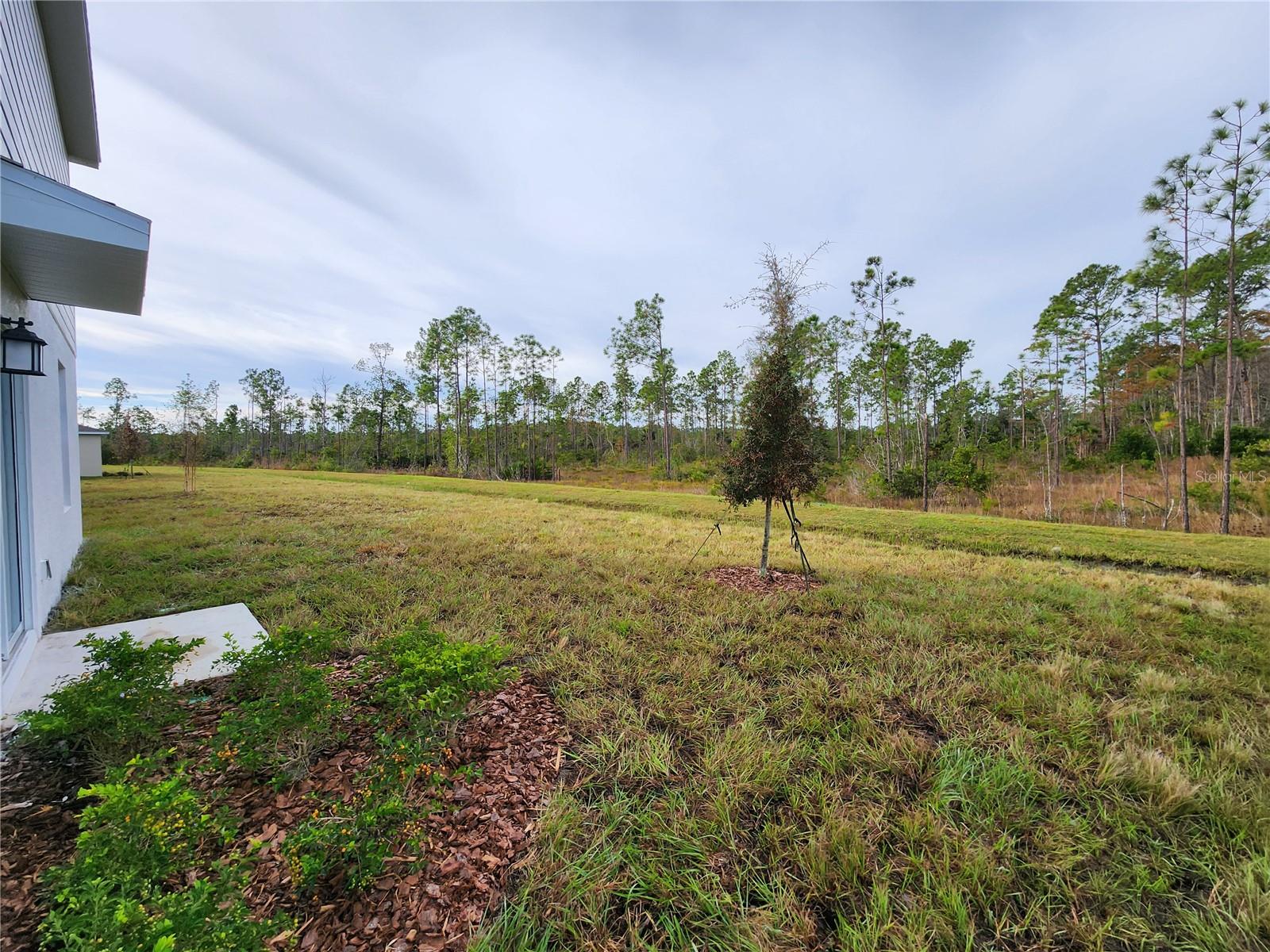 Image 3 of 51 For 1227 Belle Isle Lane