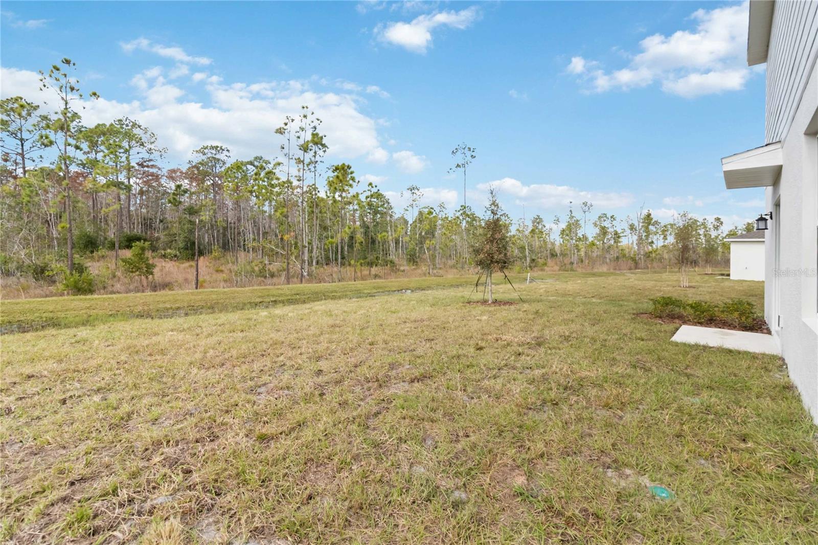 Image 43 of 51 For 1227 Belle Isle Lane