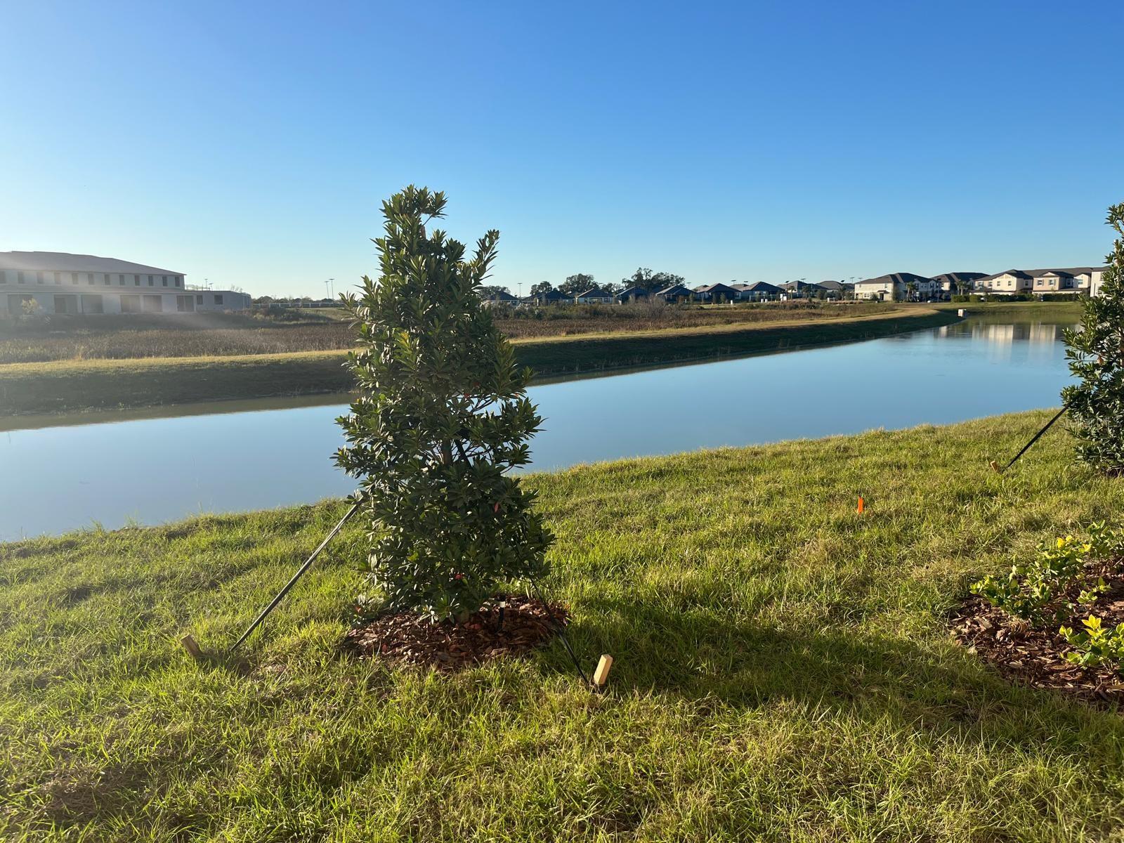 Image 21 of 21 For 10137 Honey Hammock Way