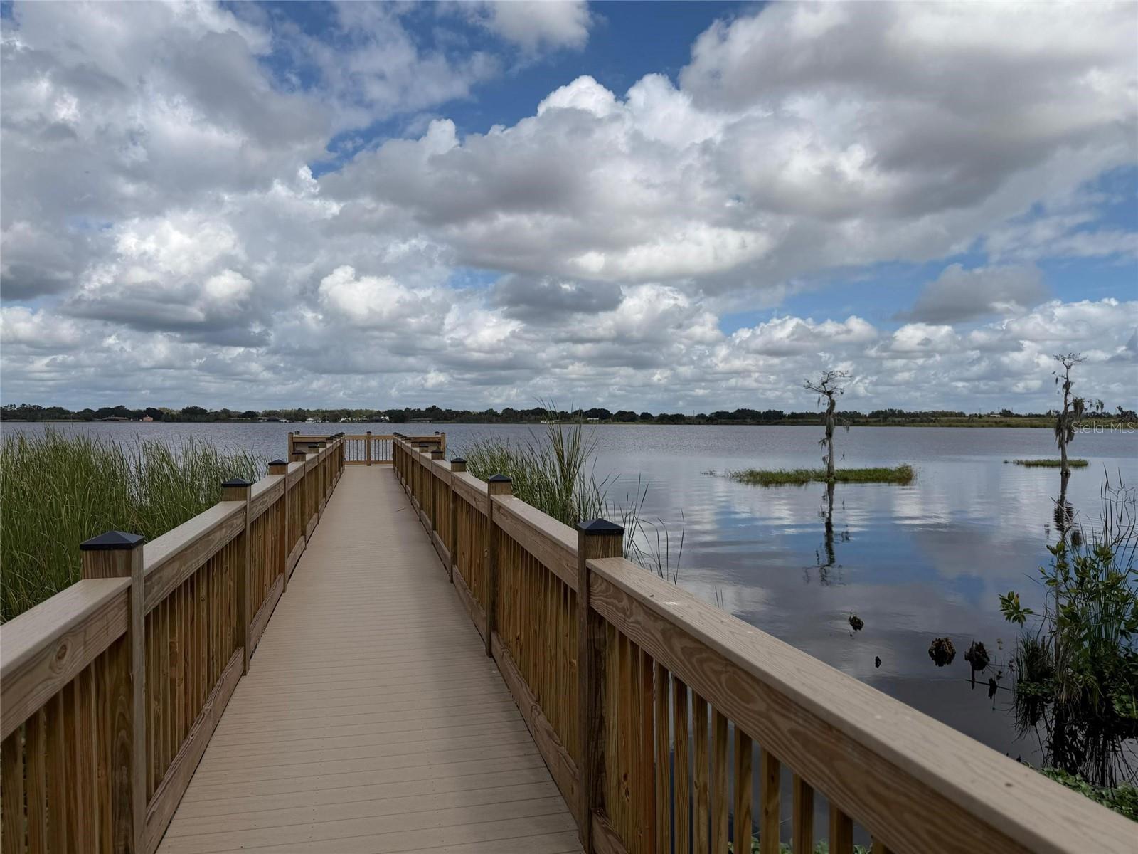 Image 20 of 32 For 3484 Chinotto Drive