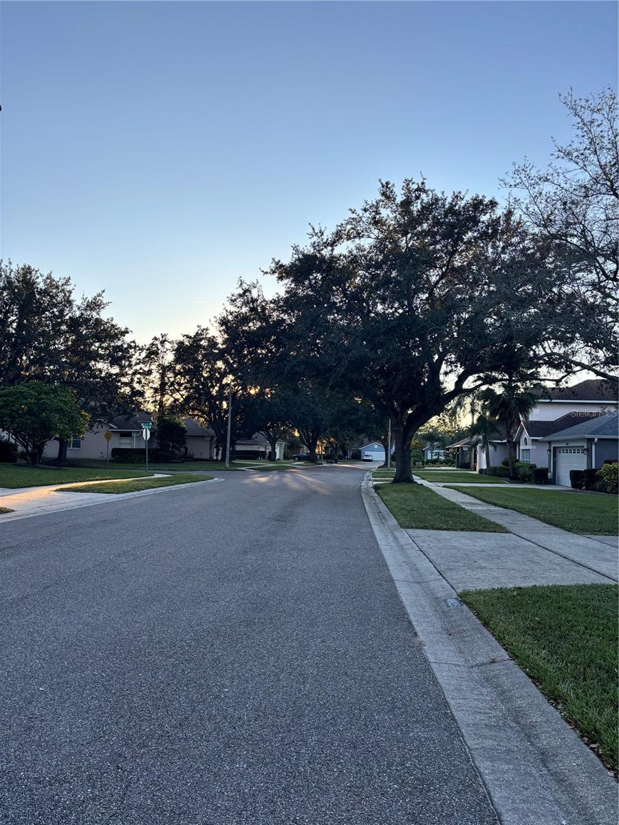 Image 7 of 57 For 4825 Charowen Drive