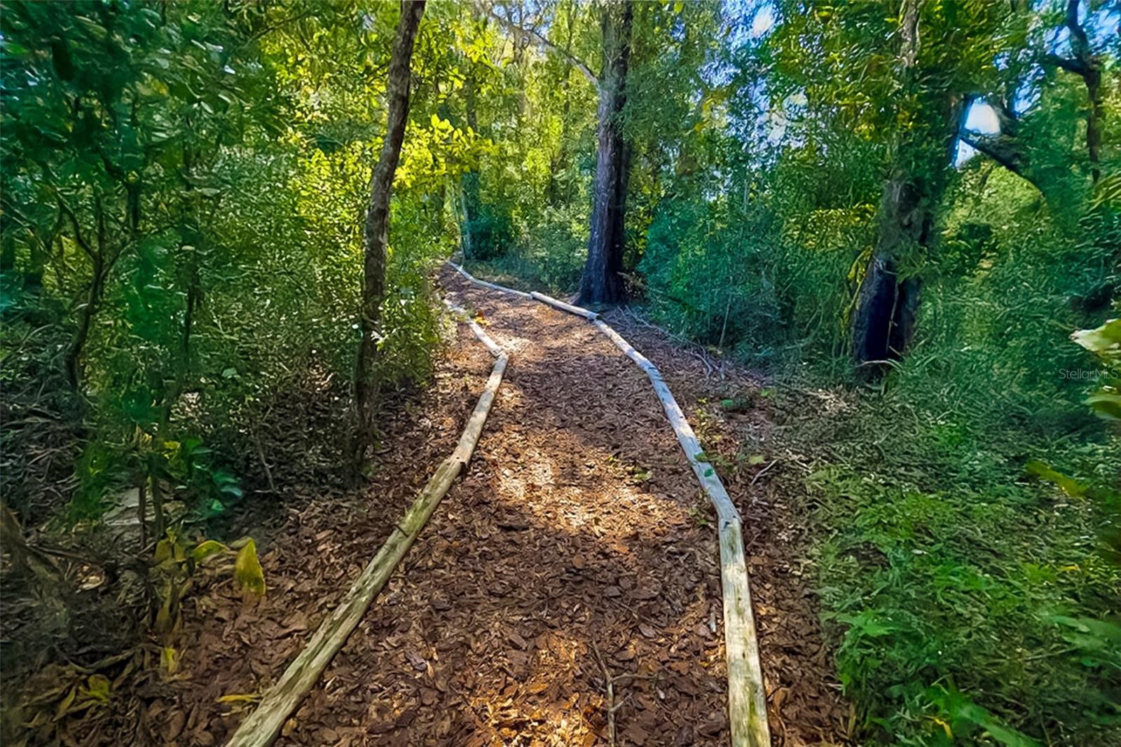 Image 10 of 10 For 2060 Canopy Terrace Boulevard