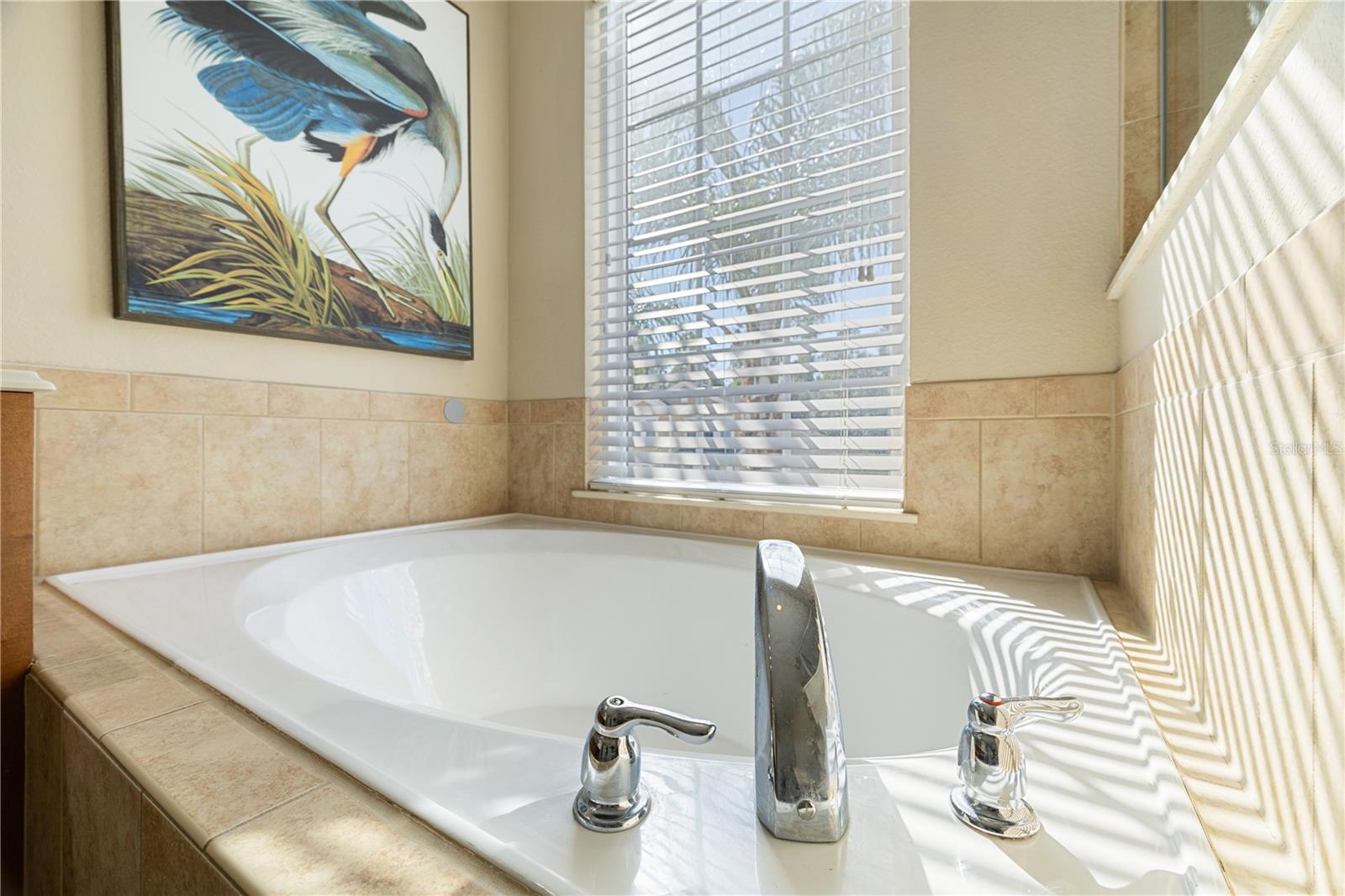 Image 55 of 70 For 3481 Mccormick Woods Dr