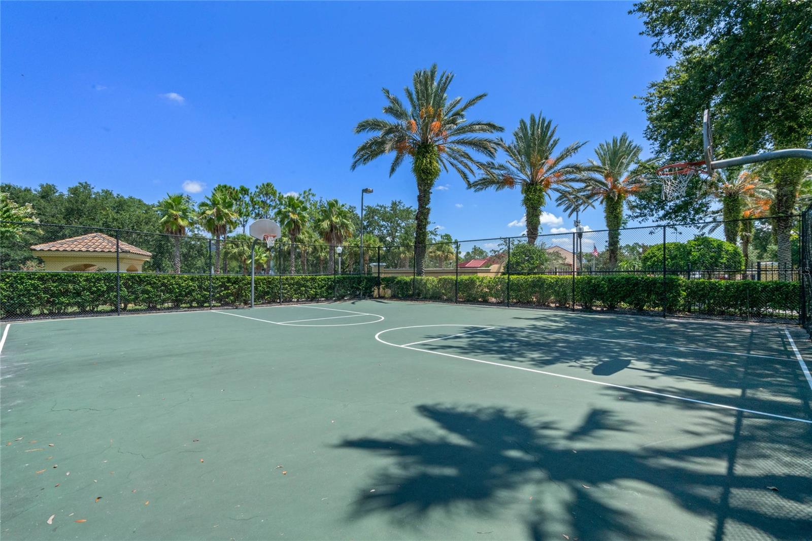 Image 52 of 74 For 1175 Lake Shadow Circle 4308