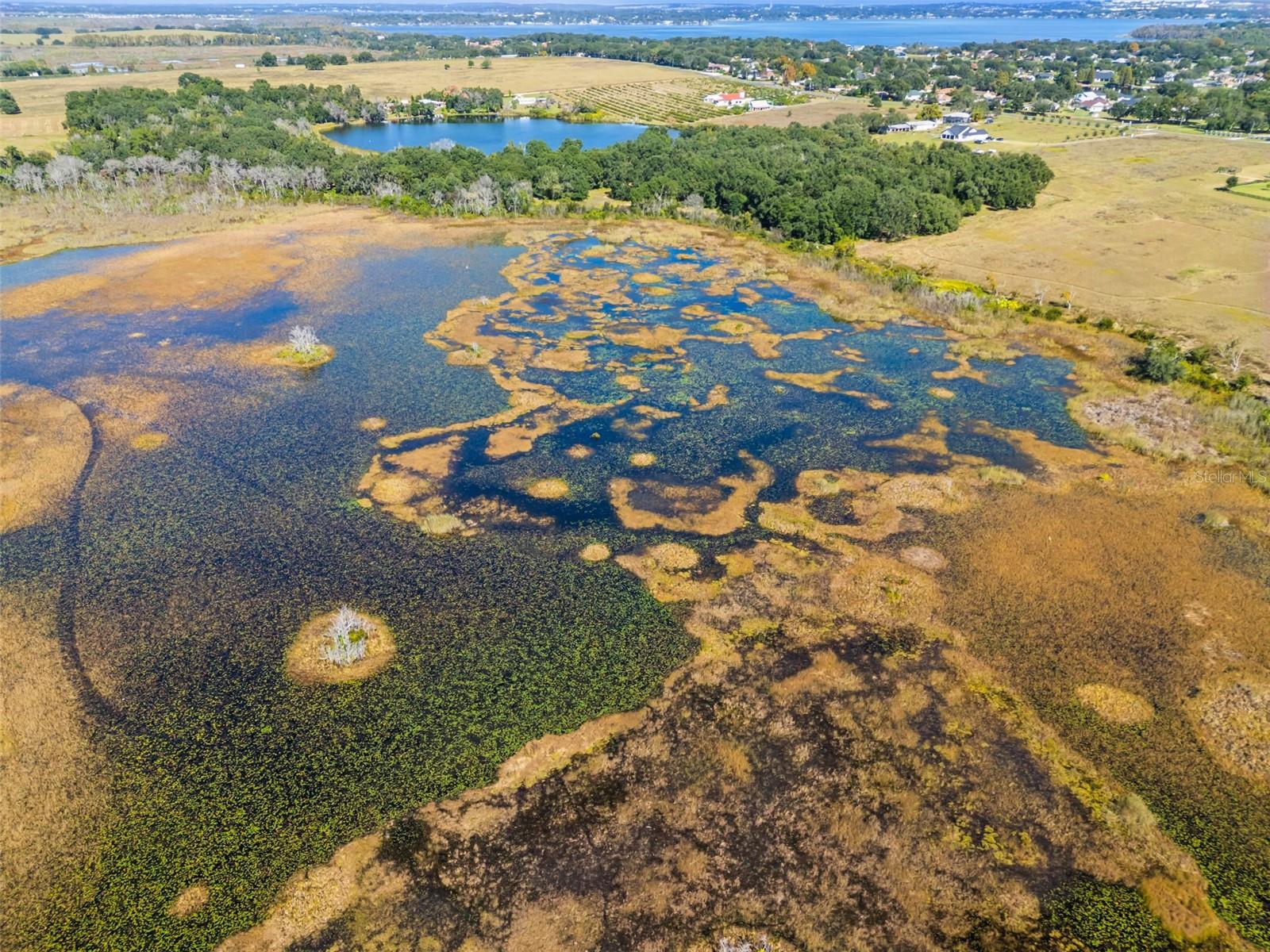 Image 7 of 14 For Old Grove Road