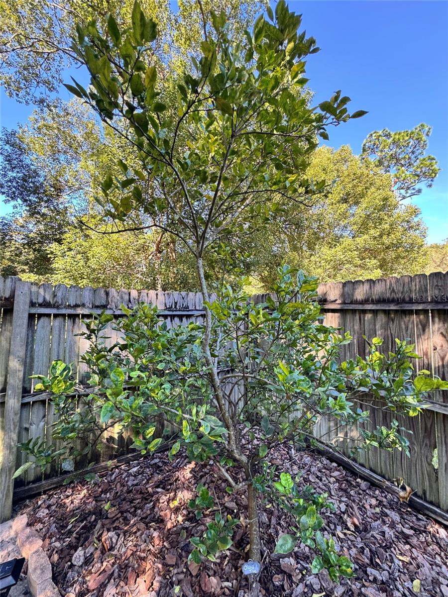 Image 20 of 24 For 153 Duncan Trail