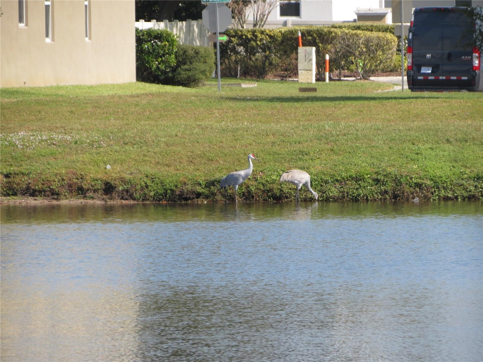 Image 28 of 37 For 3968 Eternity Circle