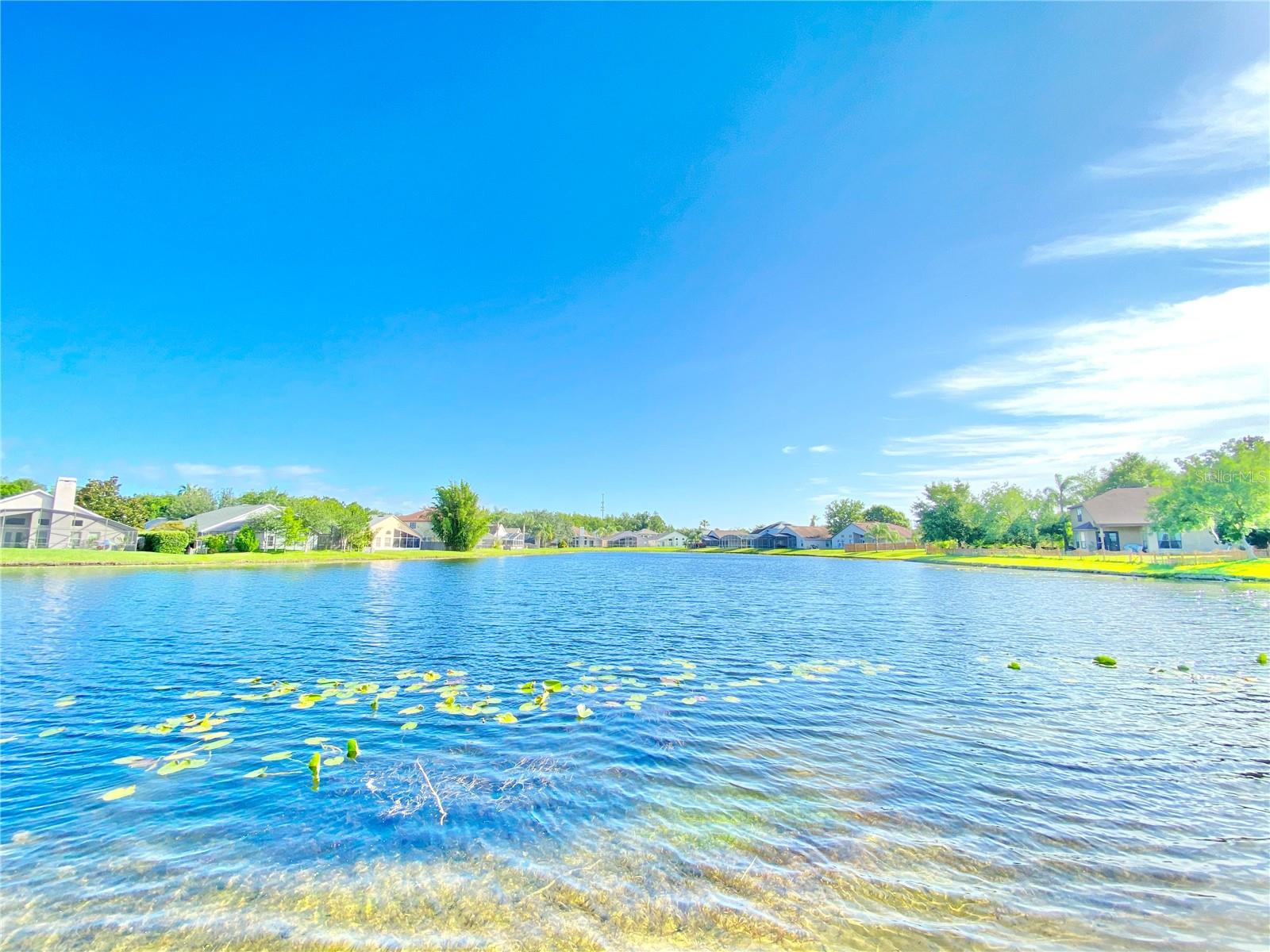 Image 55 of 56 For 513 Hardwood Circle