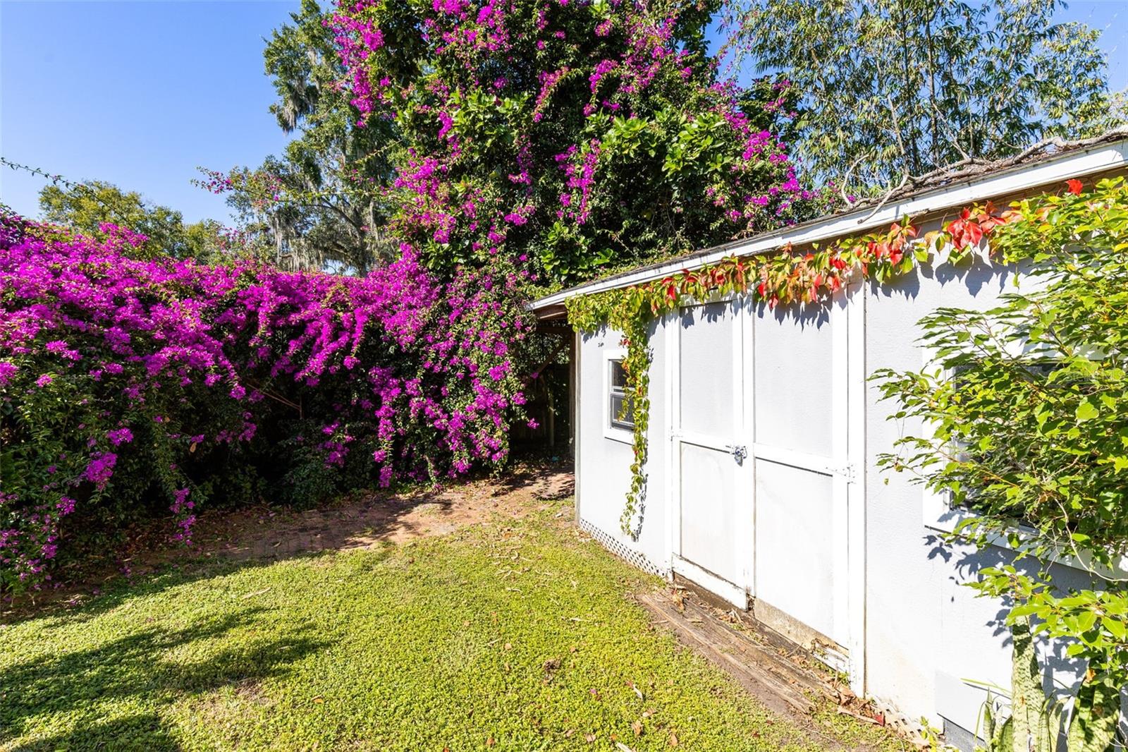 Image 32 of 41 For 1205 Mayfield Avenue