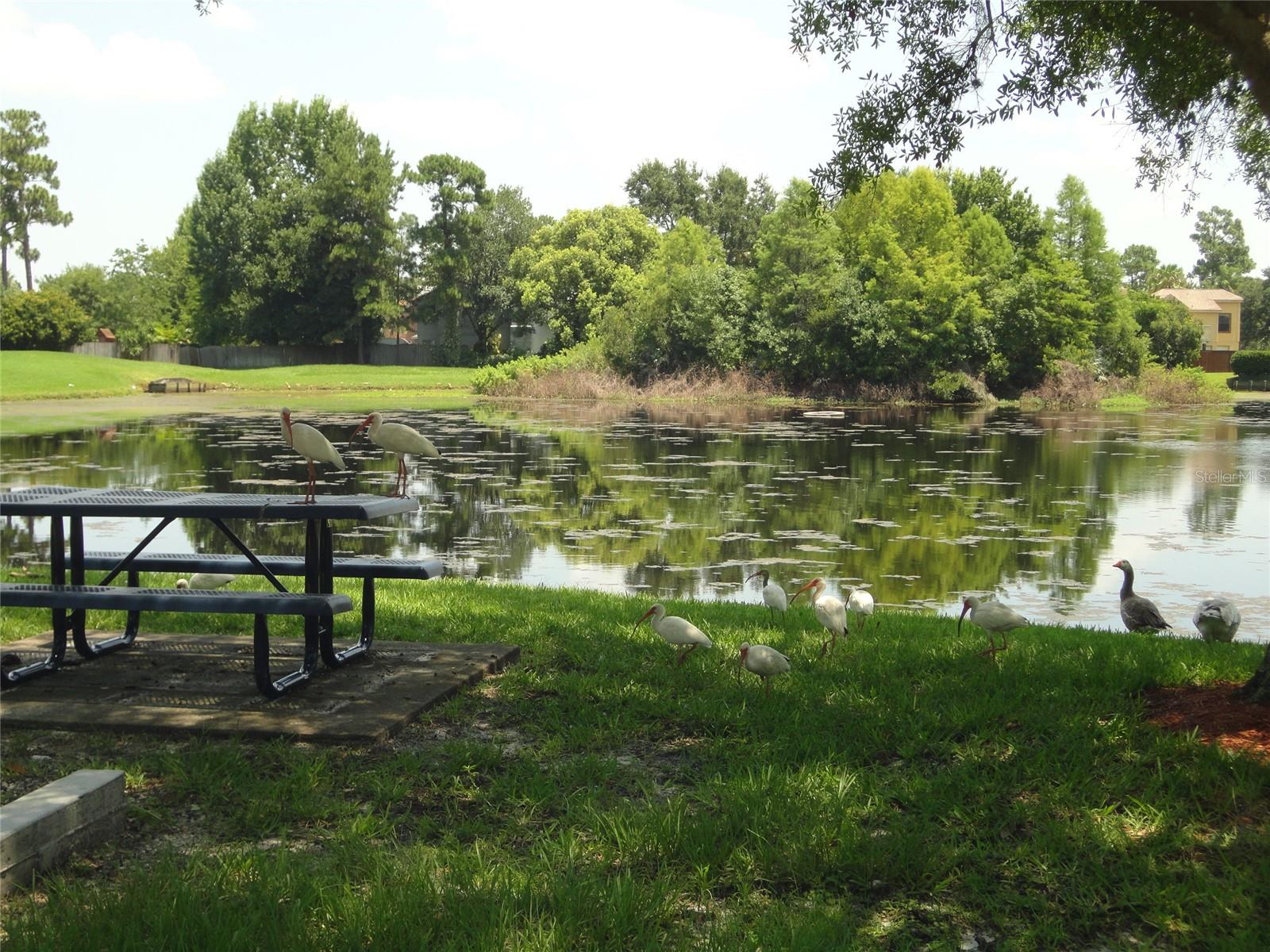 Image 18 of 19 For 1002 Gwyn Circle