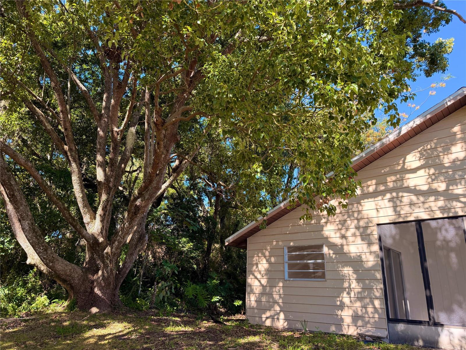 Image 6 of 33 For 201 Fernwood Street