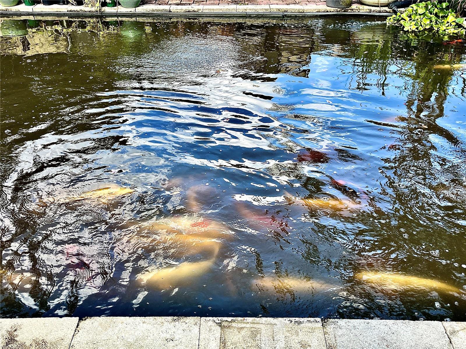 Image 42 of 42 For 323 Trancas Court