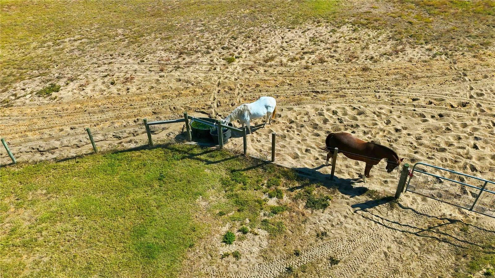 Image 49 of 60 For 11714 Flynn Court