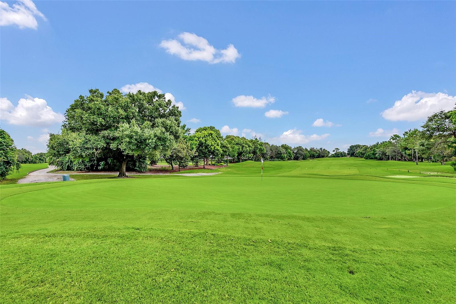 Image 35 of 43 For 321 Fernhill Drive