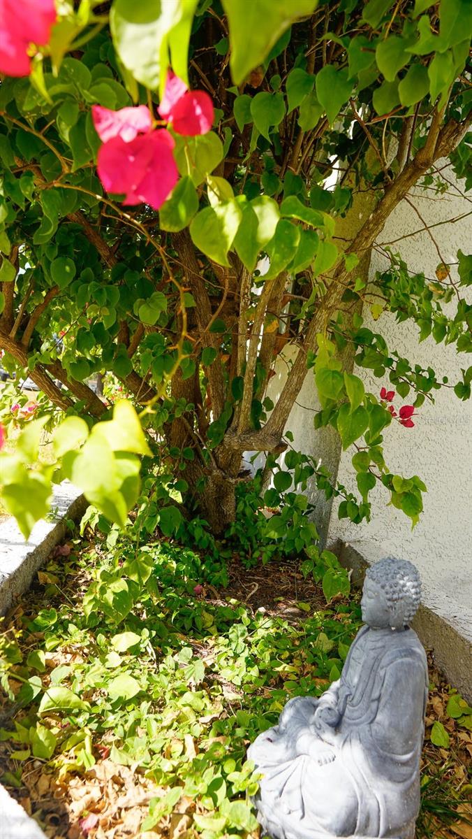 Image 3 of 62 For 2363 68th Ave S