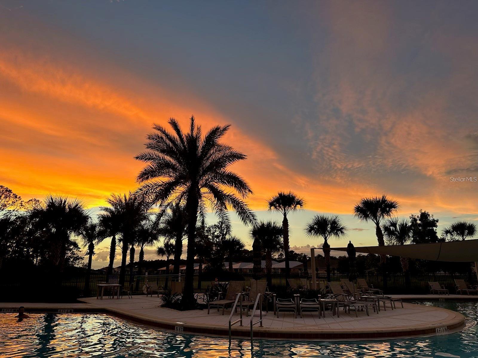 Image 43 of 59 For 3441 Meadow Beauty Way