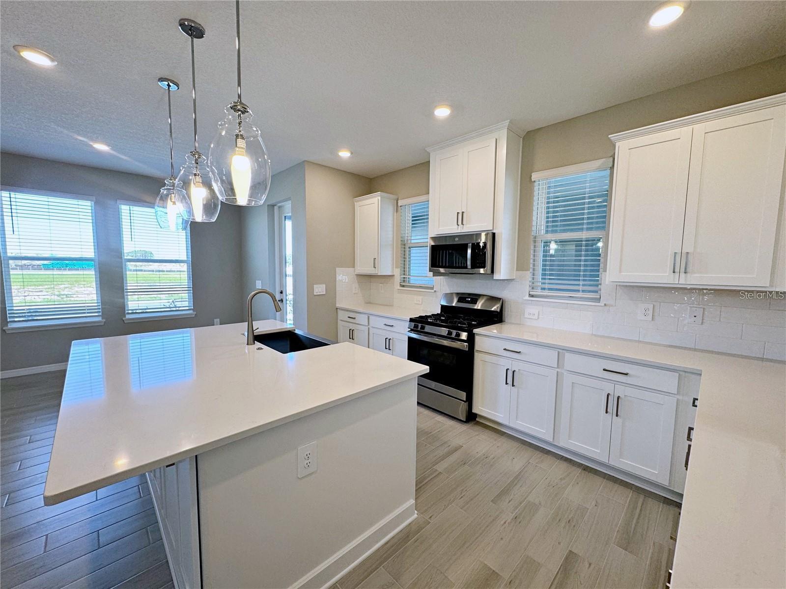 Image 9 of 33 For 15189 Summer Harvest Street