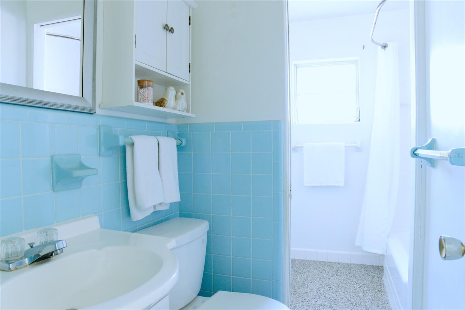 Image 16 of 24 For 209 Triplet Drive