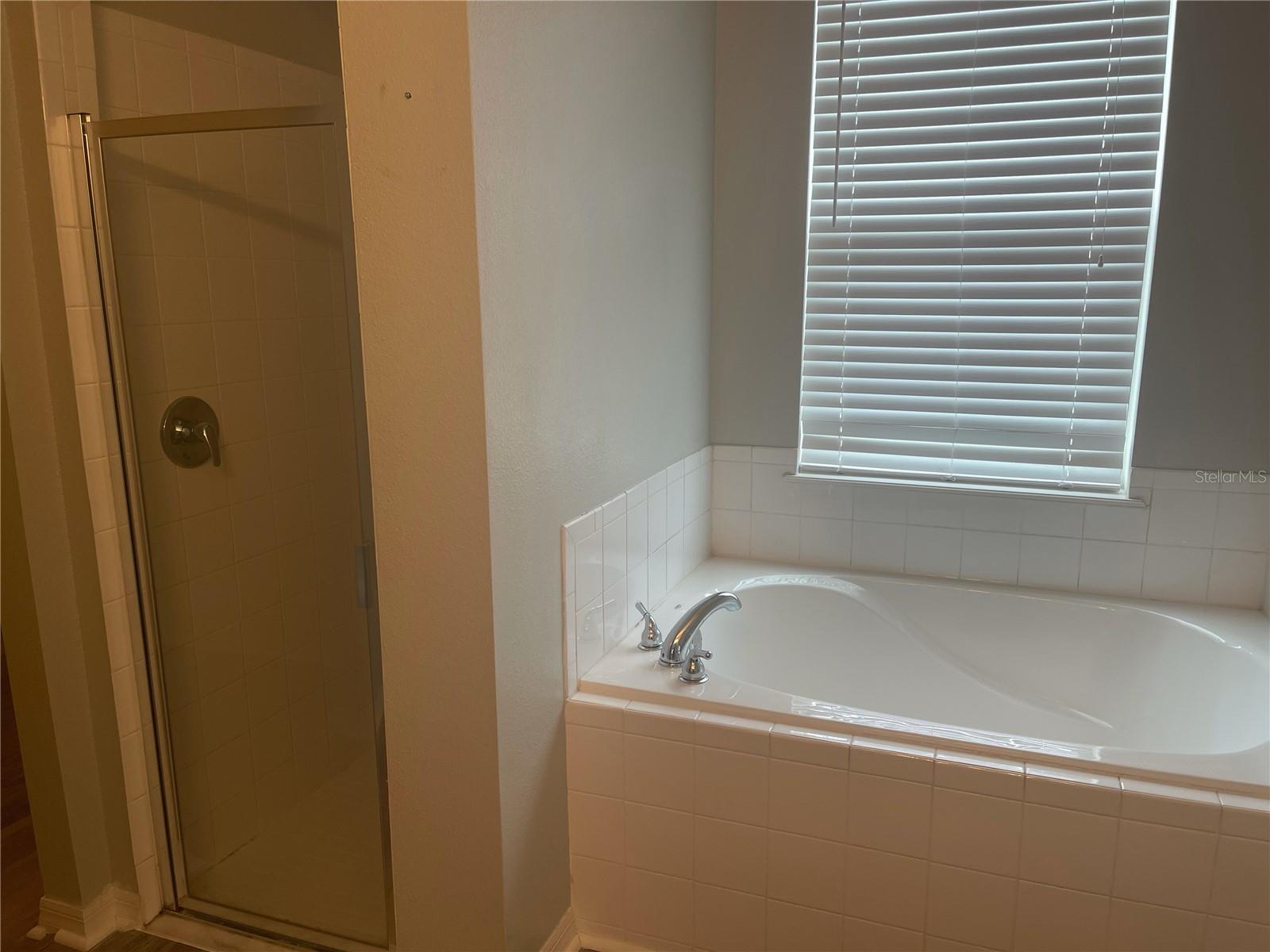 Image 14 of 31 For 30823 Satinleaf Run