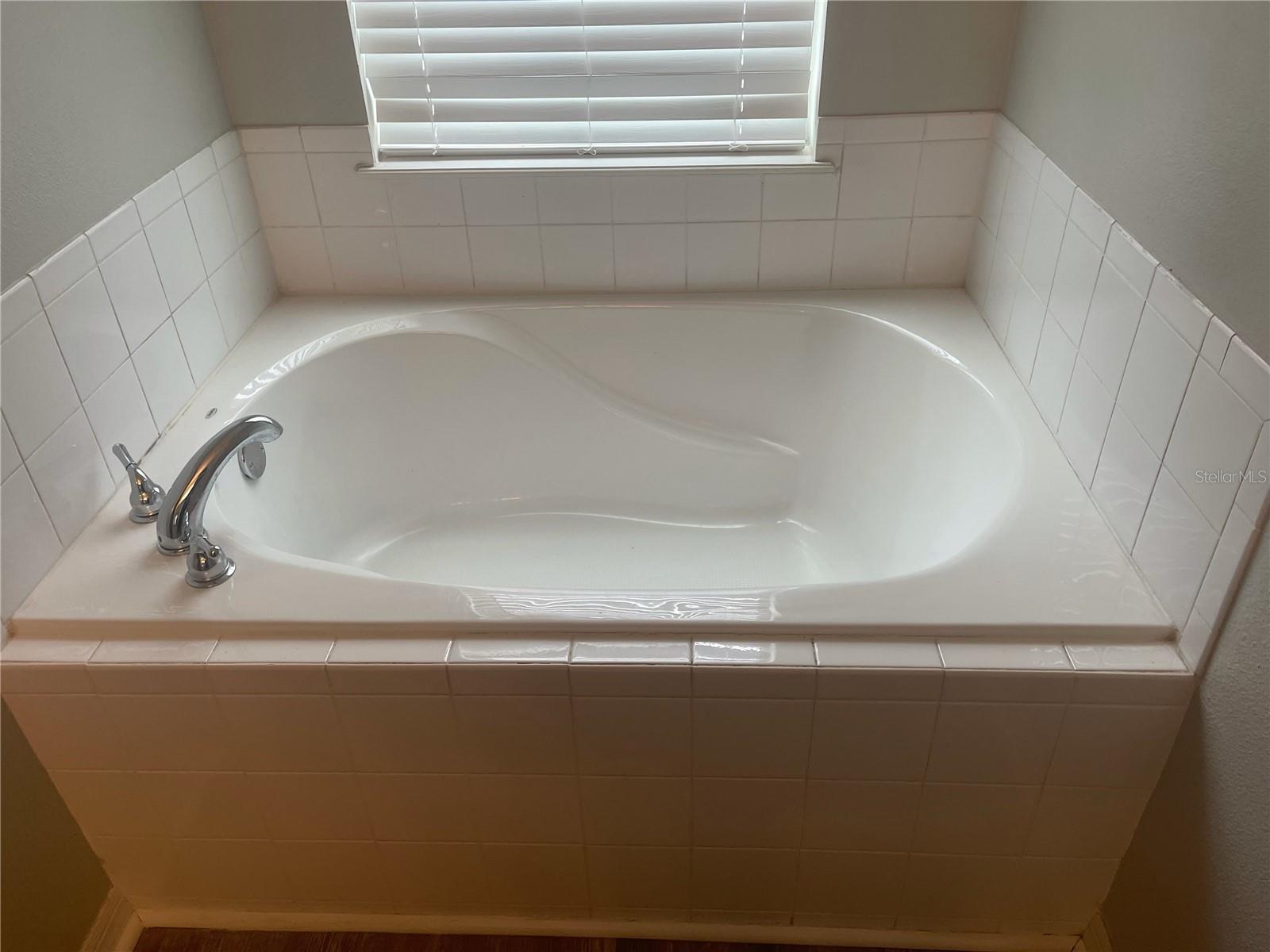 Image 15 of 31 For 30823 Satinleaf Run