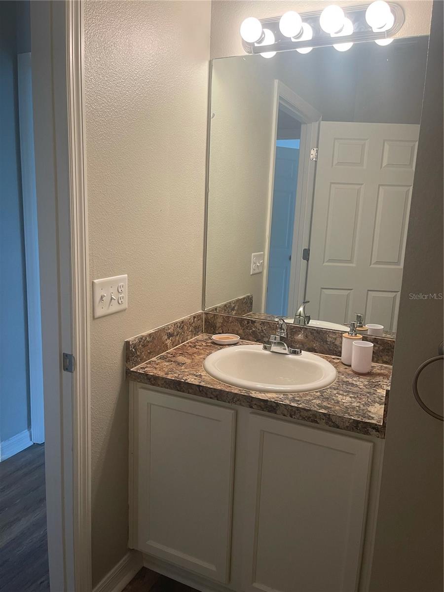 Image 17 of 31 For 30823 Satinleaf Run