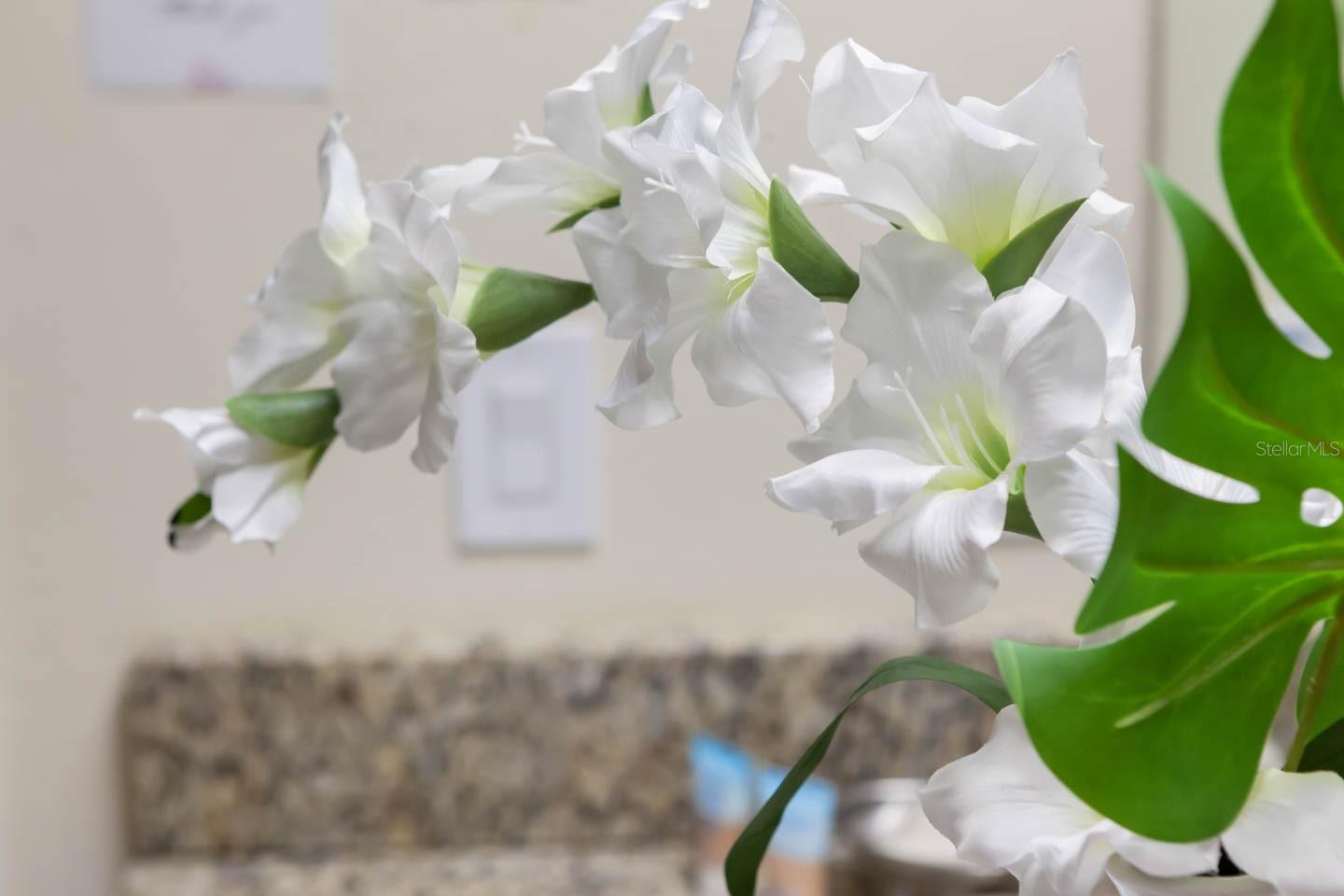 Image 75 of 78 For 7625 Brookhurst Lane