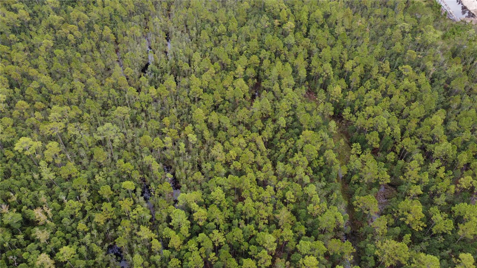 Image 38 of 46 For 1121 Clark Bay Road