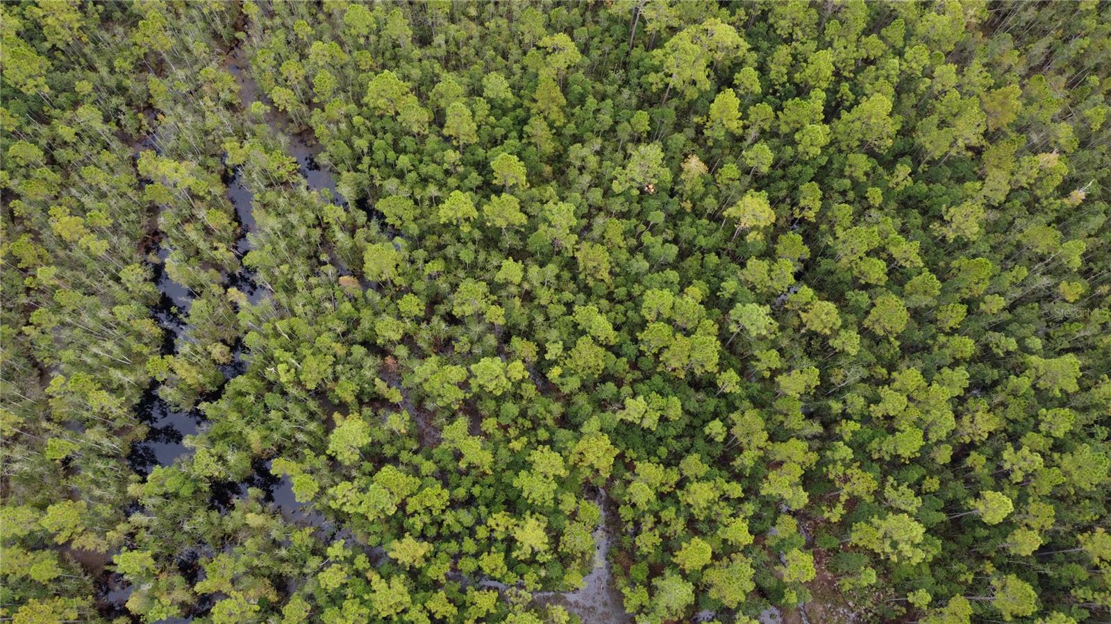 Image 39 of 46 For 1121 Clark Bay Road