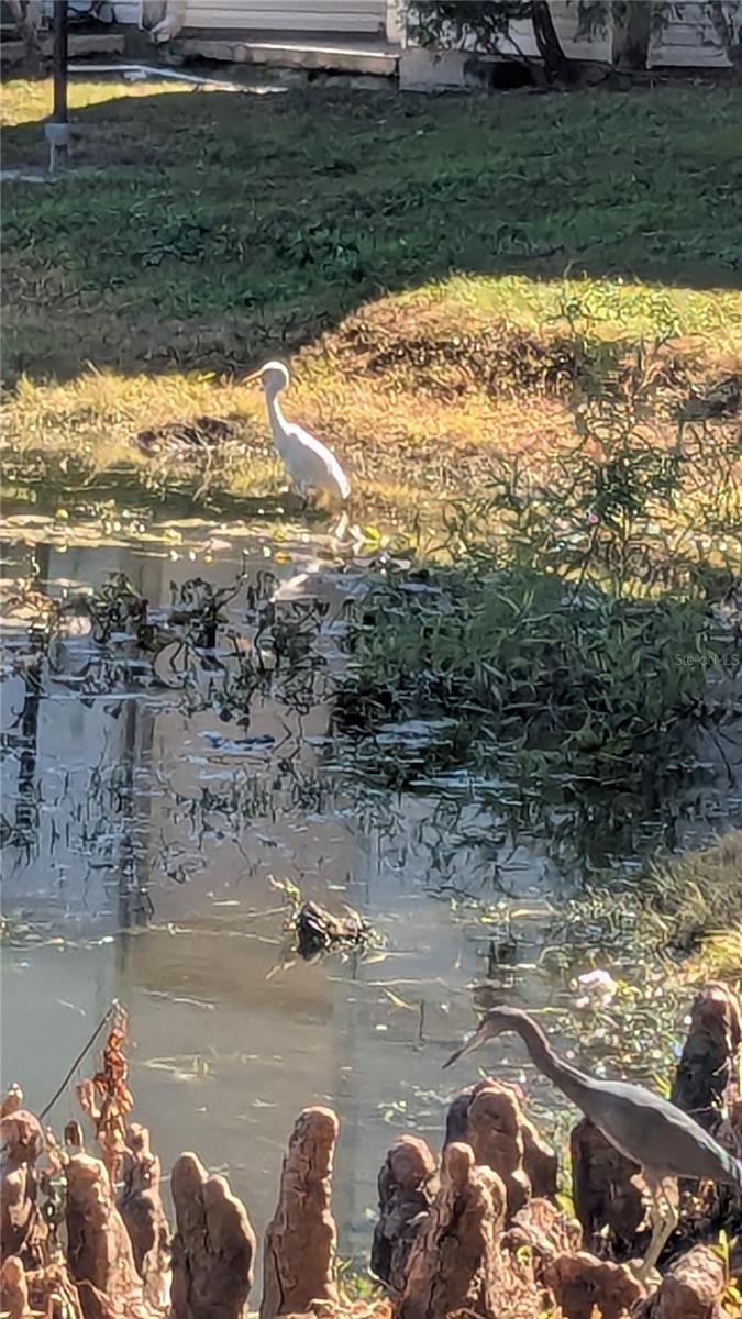 Image 20 of 29 For 1948 Lake Atriums Circle 120