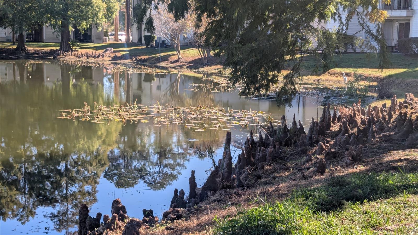 Image 25 of 29 For 1948 Lake Atriums Circle 120