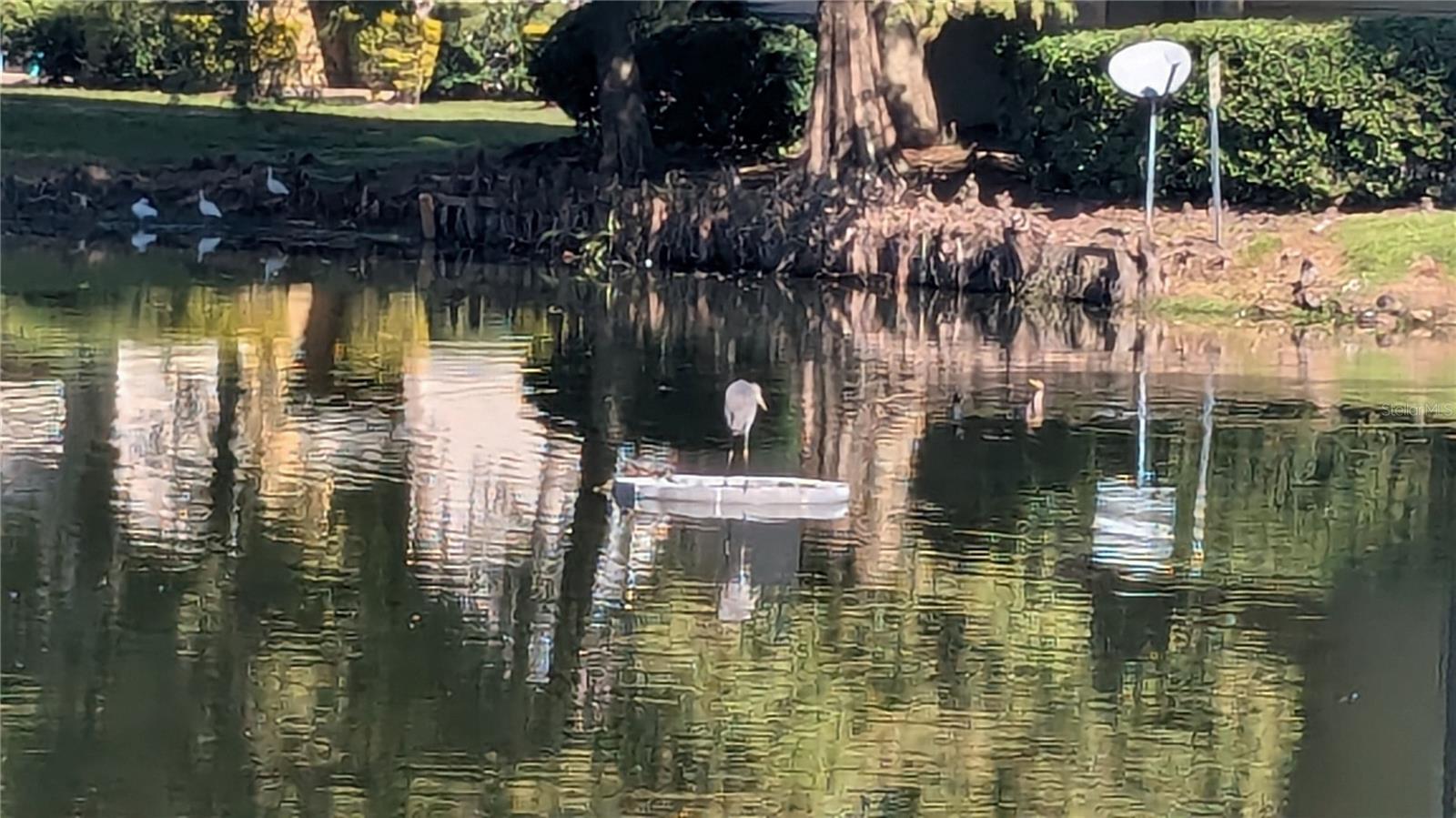 Image 26 of 29 For 1948 Lake Atriums Circle 120
