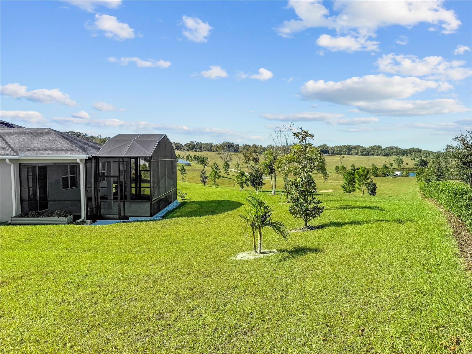 Image 25 of 78 For 1688 Littleleaf Boxwood Loop