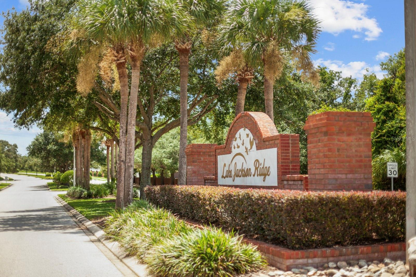 Image 42 of 78 For 1688 Littleleaf Boxwood Loop