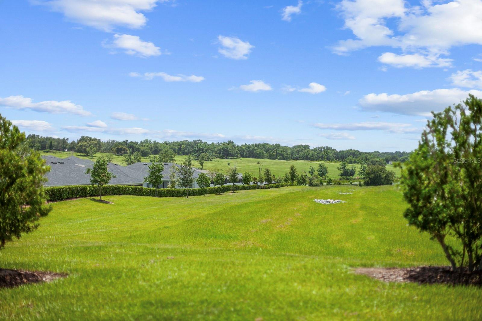 Image 43 of 78 For 1688 Littleleaf Boxwood Loop