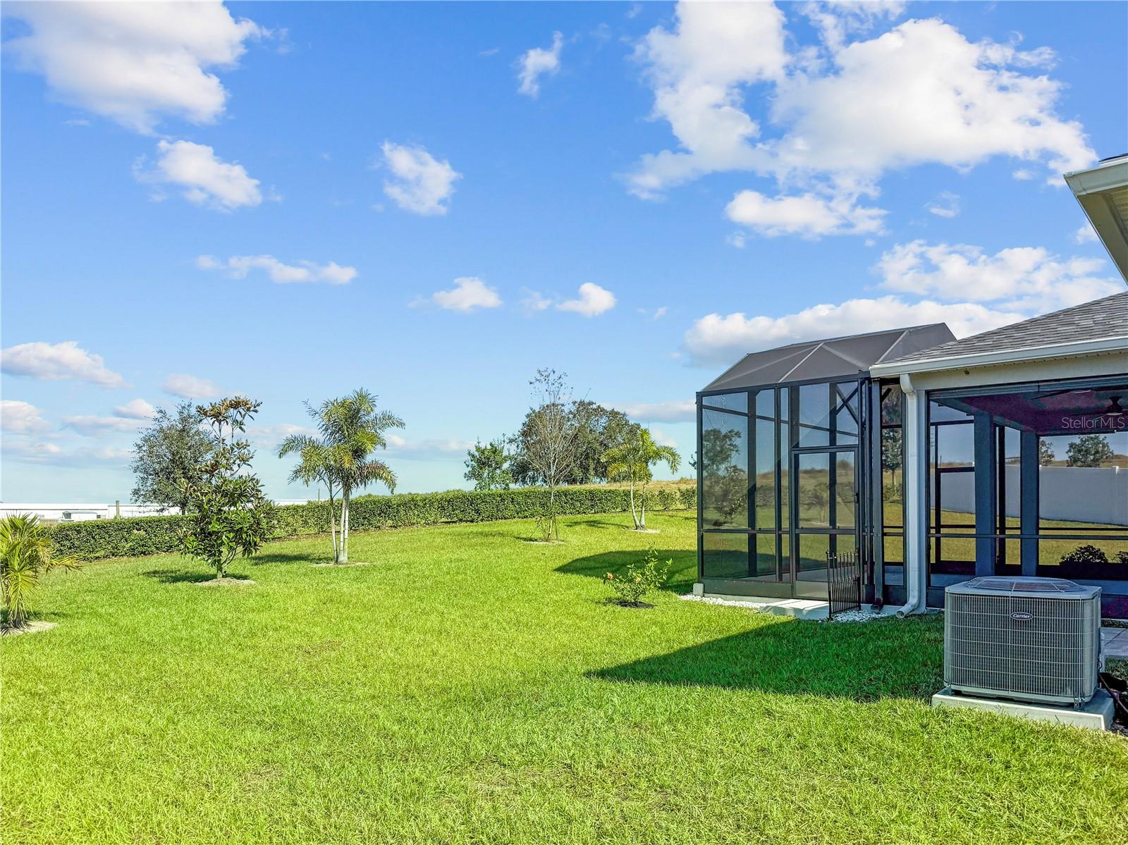 Image 6 of 78 For 1688 Littleleaf Boxwood Loop