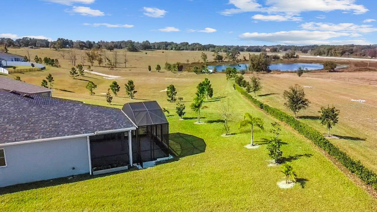 Image 7 of 78 For 1688 Littleleaf Boxwood Loop