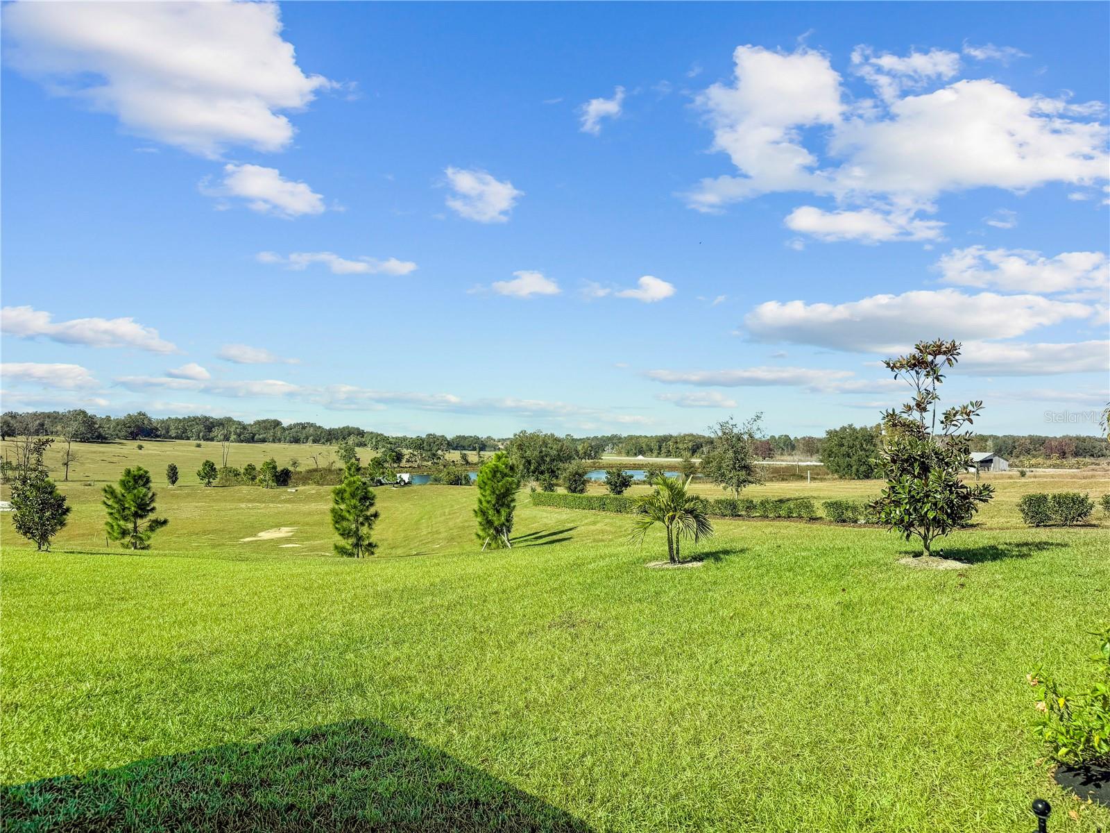 Image 8 of 78 For 1688 Littleleaf Boxwood Loop