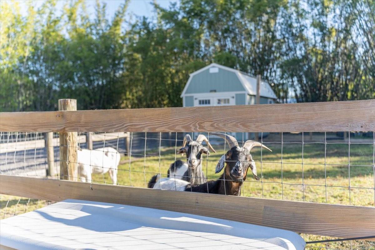 Image 40 of 66 For 5460 Boutin Lane