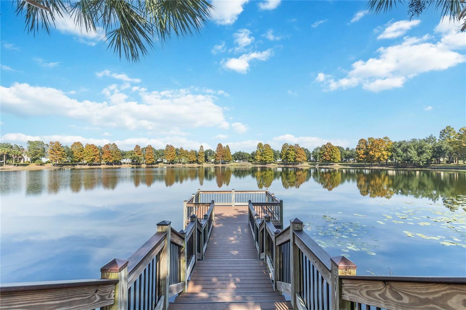 Image 44 of 50 For 14551 Yellow Butterfly Road