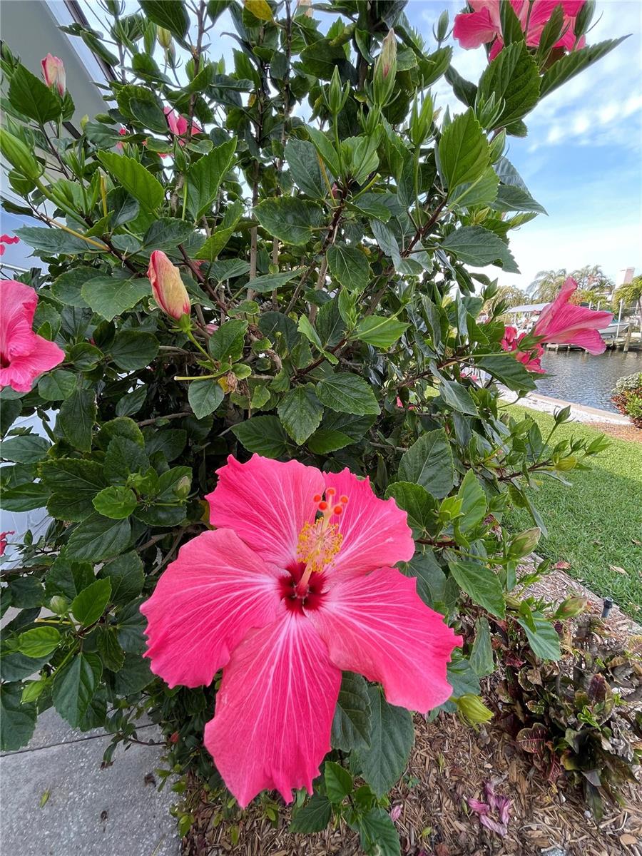 Image 33 of 33 For 5219 Bimini Drive