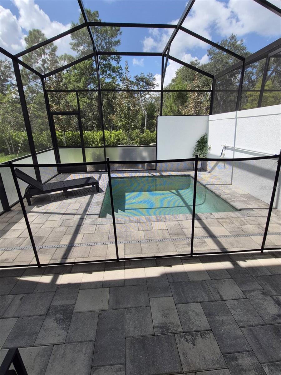 Image 5 of 15 For 1431 Serendipity Lane