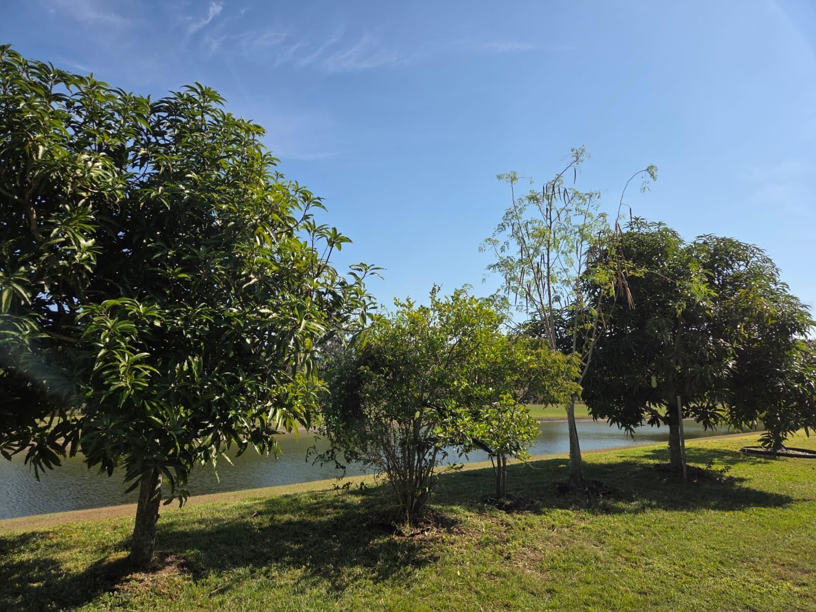 Image 5 of 18 For 14505 Ward Road