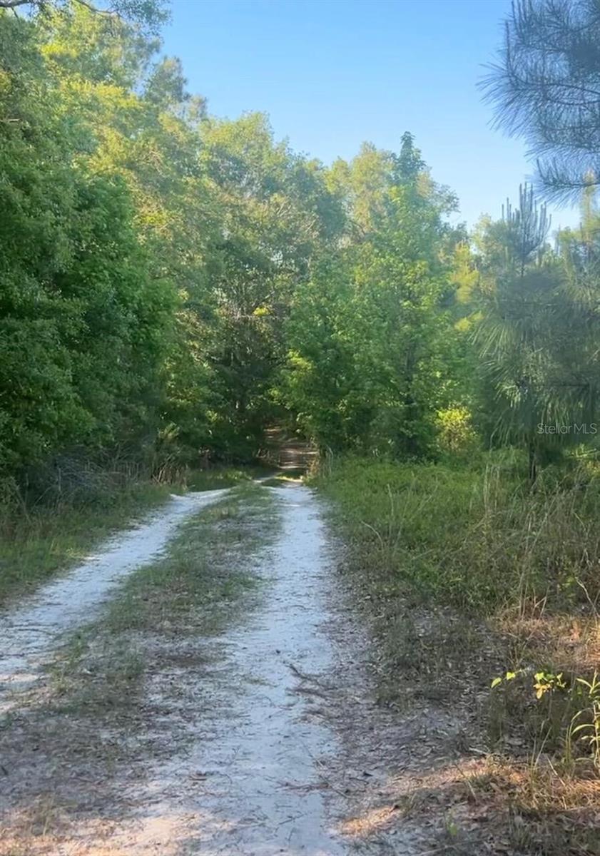 Image 5 of 6 For County Road 778