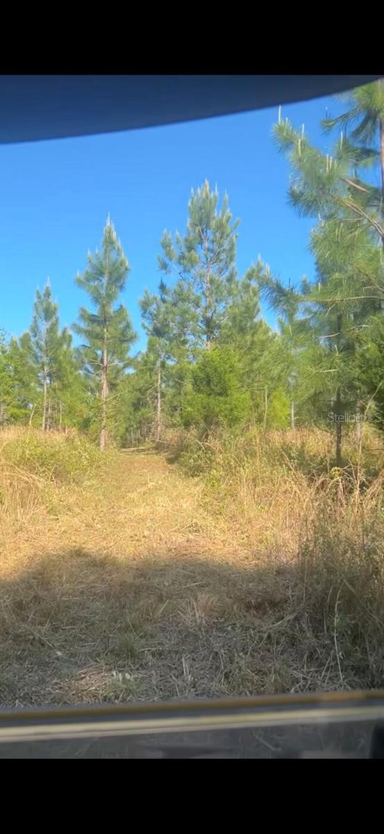 Image 6 of 6 For County Road 778