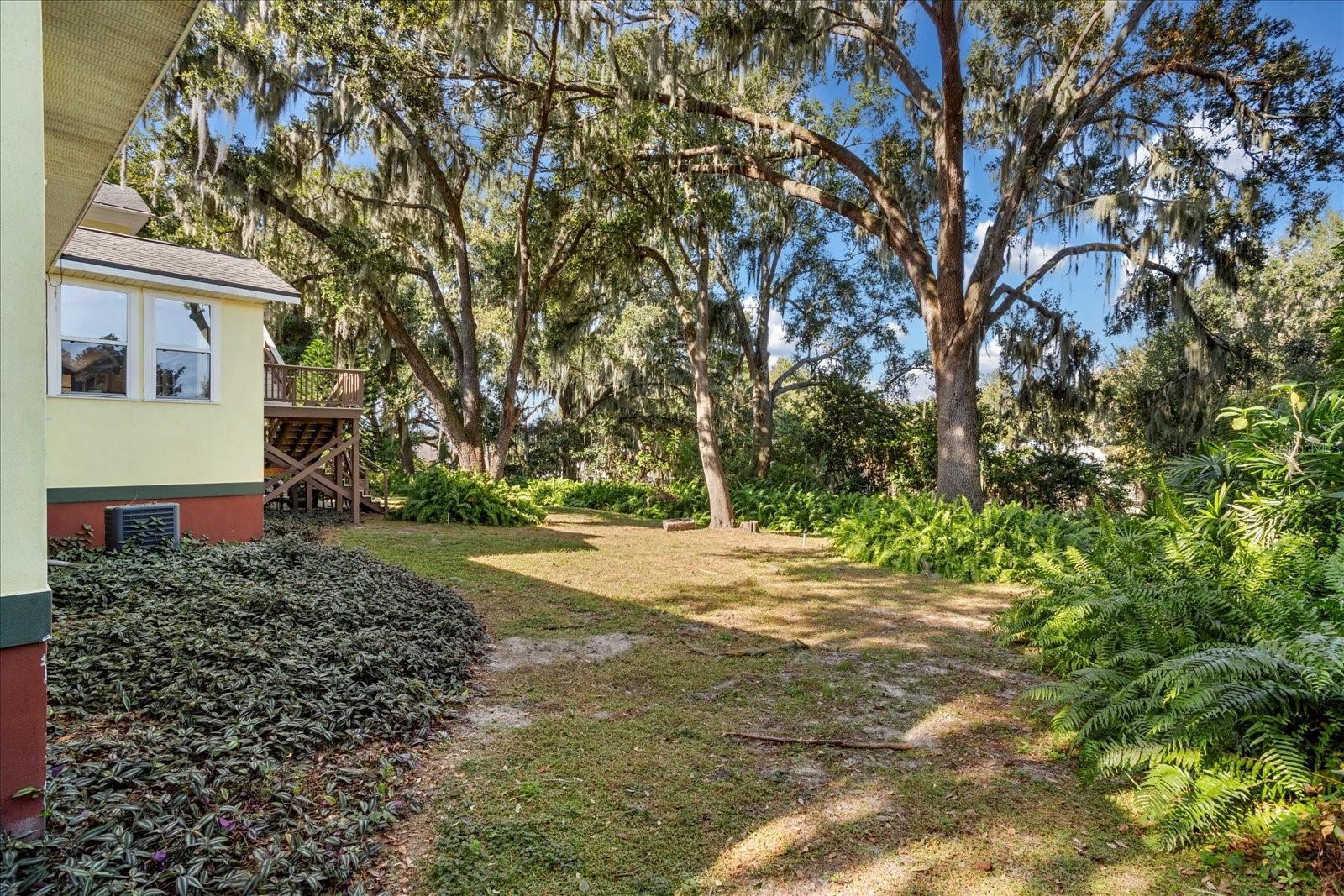 Image 11 of 62 For 620 Tubb Street