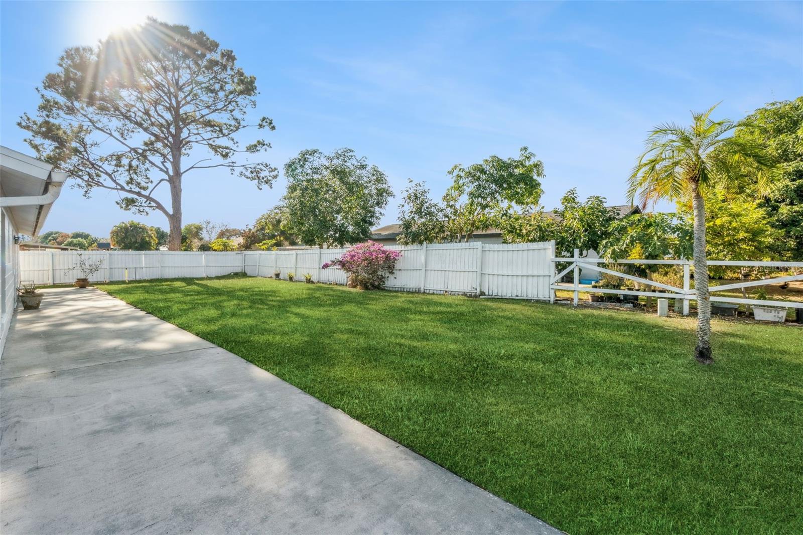 Image 20 of 23 For 100 Juarez Drive