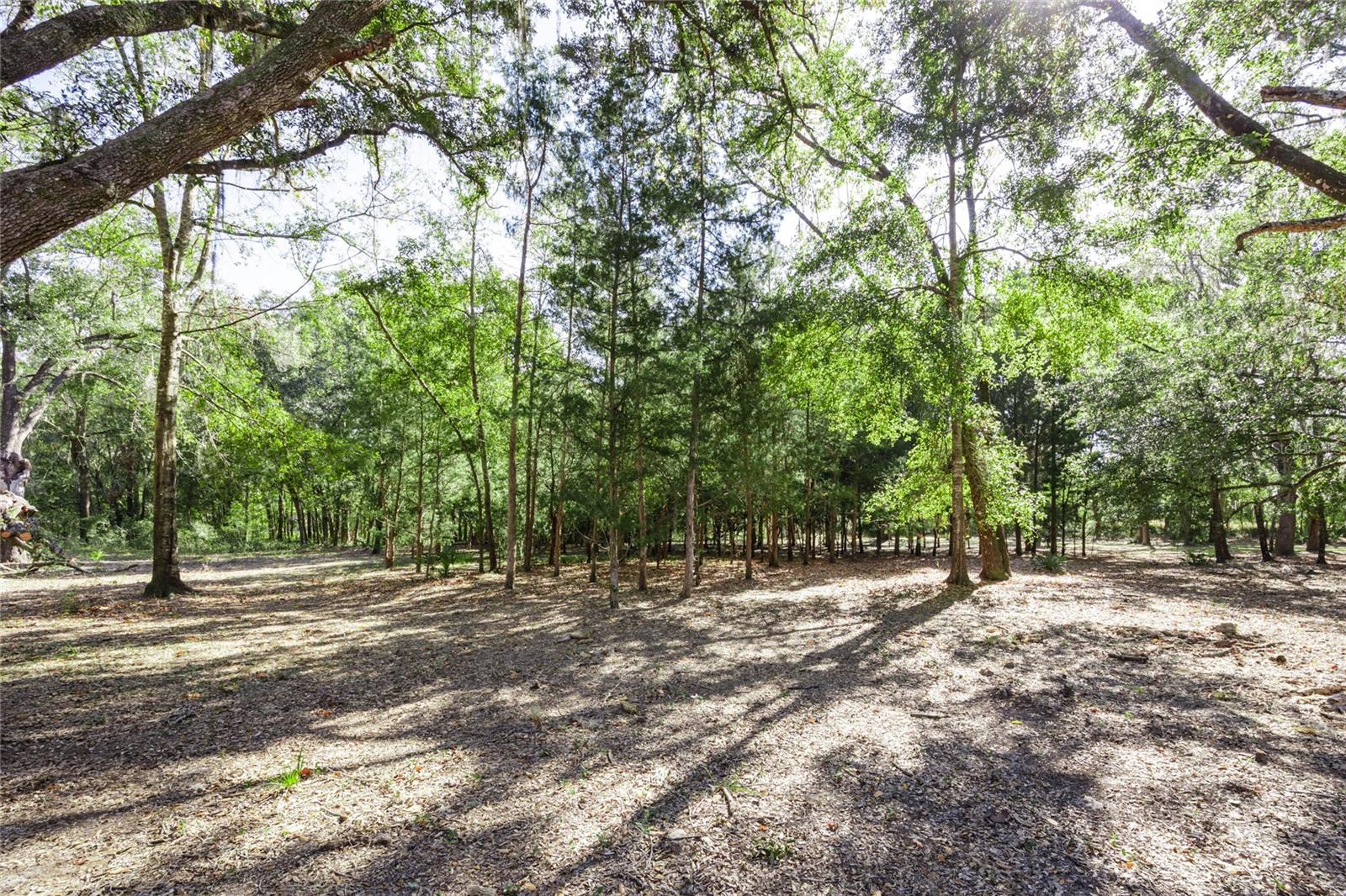 Image 36 of 41 For 6320 91st Trail