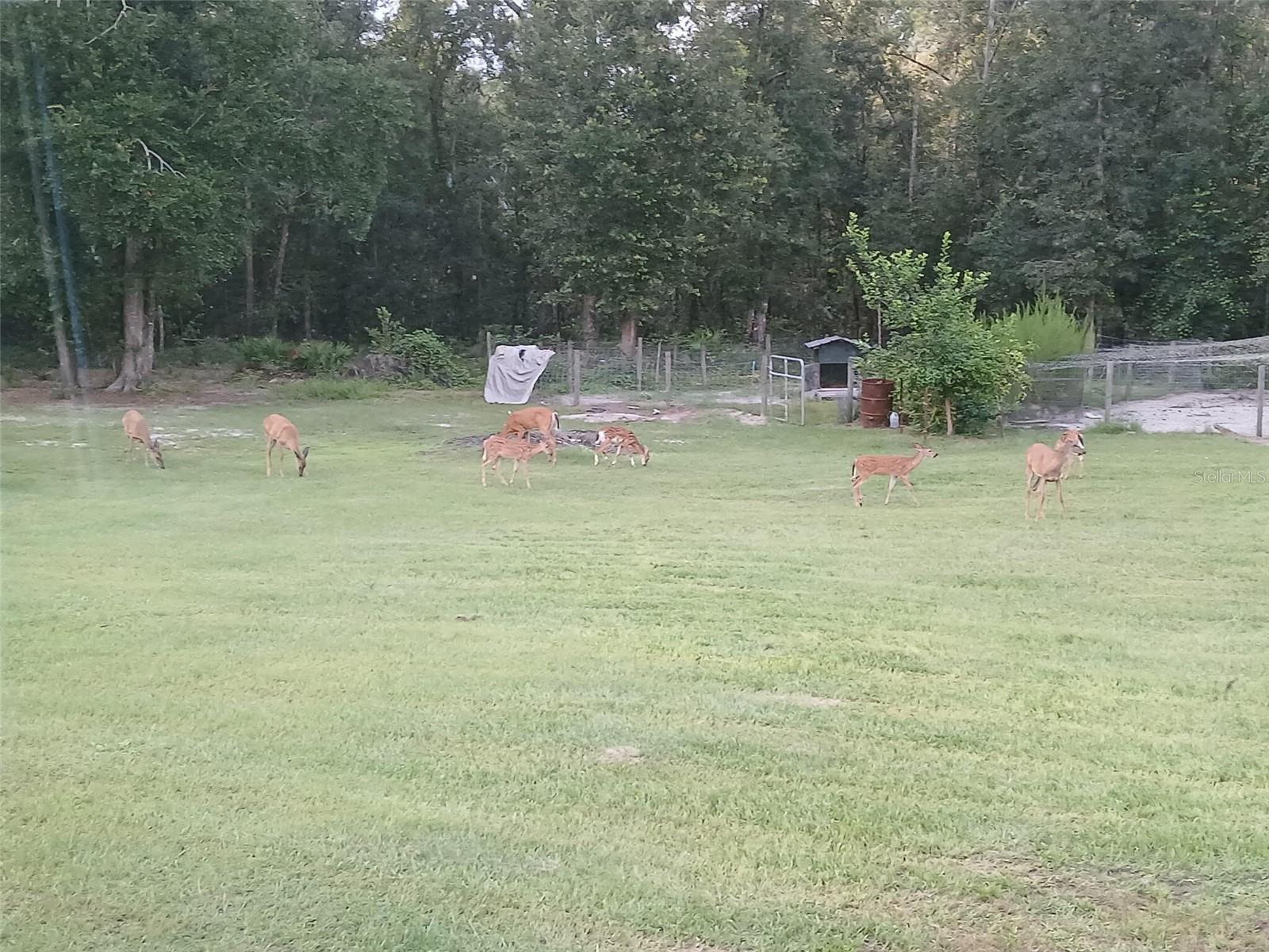 Image 41 of 41 For 6320 91st Trail